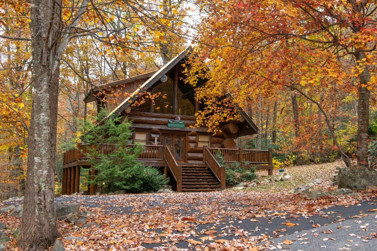 Chief Big Log Villa Hatchertown Ngoại thất bức ảnh